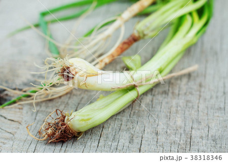 Spring onion on wooden. 38318346