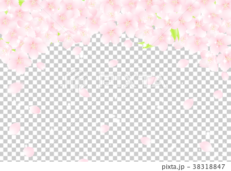 サクラの花のアーチ 桜吹雪 イラストのイラスト素材 3147