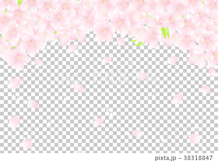 サクラの花のアーチ 桜吹雪 イラストのイラスト素材 38318847 Pixta