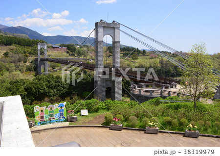 県立秦野戸川公園の春は　神奈川県 38319979