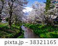 桜と富士山 38321165