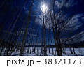 月光 38321173