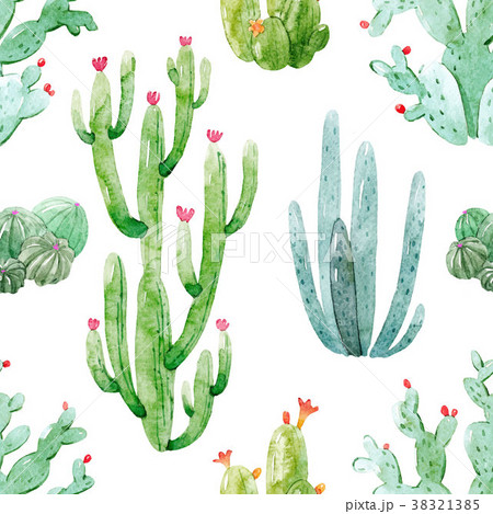 Watercolor cactus vector pattern 38321385