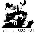 A sweet little racoon - Illustration 38321481
