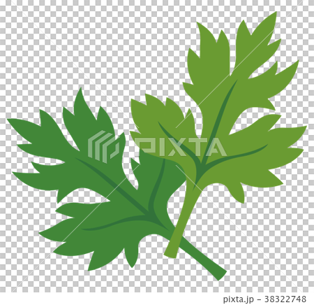 よもぎ よもぎ 38322748