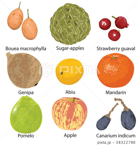 set of fruits on white background set of fruits on white background 38322786