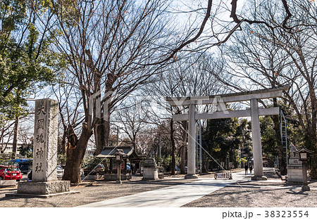 東京　大國魂神社　大鳥居 38323554