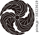三つ柏の巴 38323619