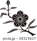 枝撫子 38323627