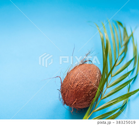 Coconut and palm tree leaf 38325019