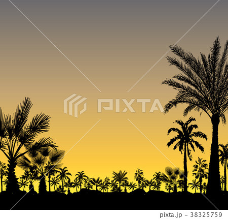 Vector card with realistic palm trees silhouette Vector card with realistic palm trees silhouette 38325759