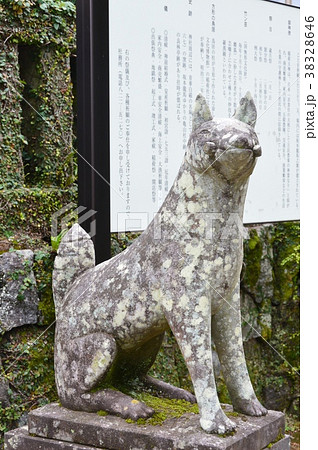 狐の石像（若宮稲荷神社／長崎県長崎市伊良林2丁目） 38328646