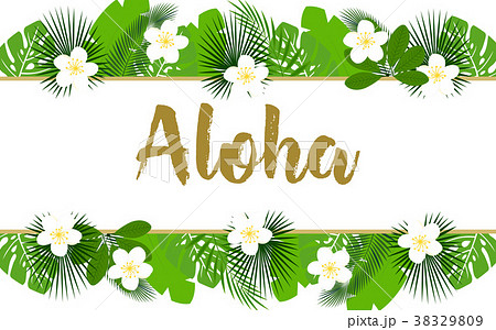 exotic aloha banner exotic aloha banner 38329809