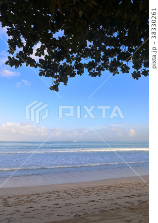 バリ島ジンバランビーチ 38330261