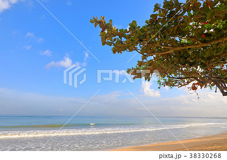 バリ島ジンバランビーチ 38330268