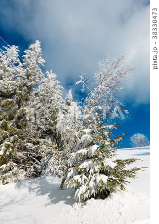 Winter mountain snowy landscape 38330473
