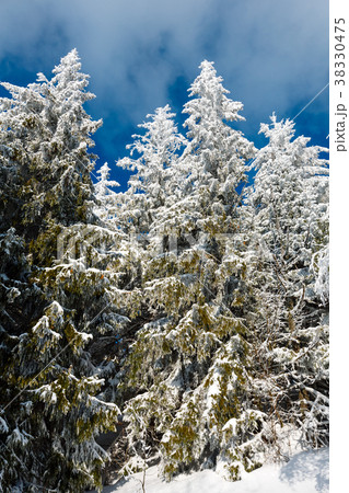 Winter mountain snowy landscape 38330475