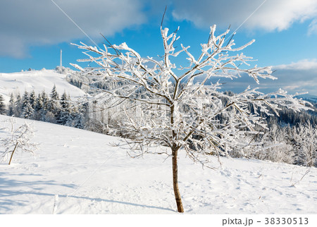 Winter Carpathian mountain hill Winter Carpathian mountain hill 38330513