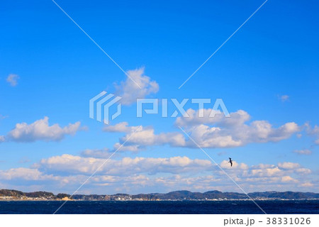 湘南海岸の青い海、青い空、白い雲 湘南海岸の青い海、青い空、白い雲 38331026