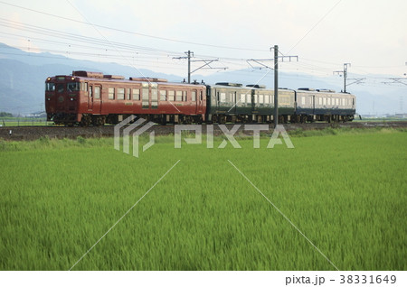 い草畑を北上する特急「かわせみ やませみ」　鹿児島本線　有佐～千丁 38331649