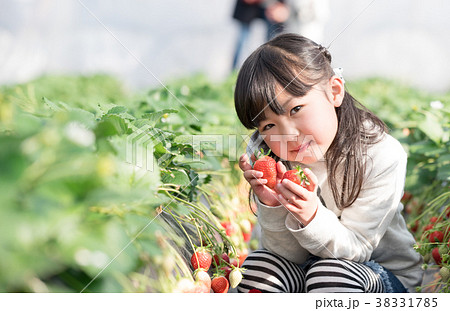 笑顔でいちごを持つ女の子の写真素材 [38331785] - PIXTA