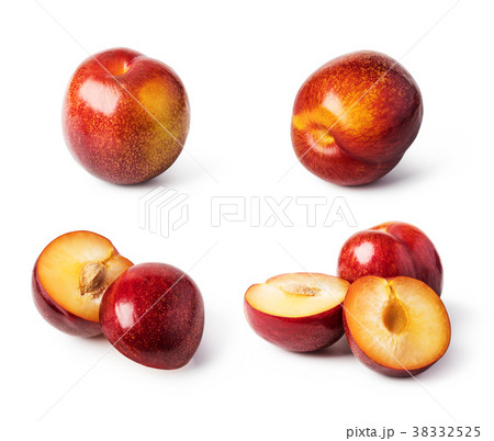 plum fruit 38332525