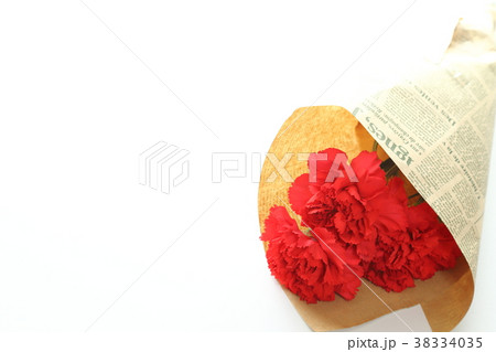 カーネーション 38334035