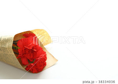 カーネーション 38334036