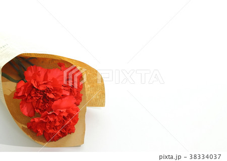 カーネーション 38334037