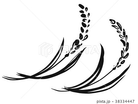 稲イラ 稲イラ 38334447