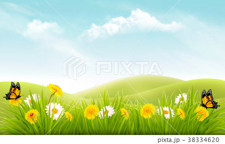 Nature background with grass and flowers 38334620