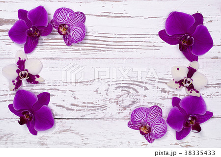 orchid flowers on white wooden table, top view 38335433