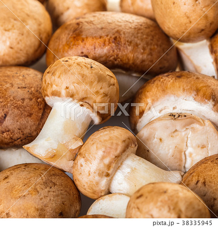 champignons mushrooms closeup 38335945