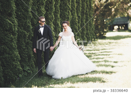 Beautiful young wedding couple is kissing and Beautiful young wedding couple is kissing and 38336640