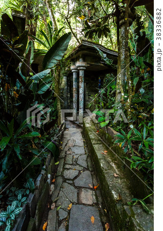 Xilitla ruins in Mexico Xilitla ruins in Mexico 38336882