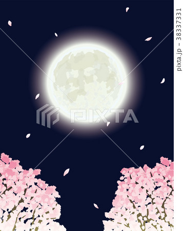 夜桜のイラスト素材