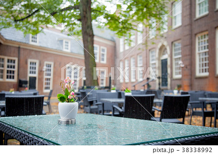 Flower on a table in cafe, Amsterdam 38338992