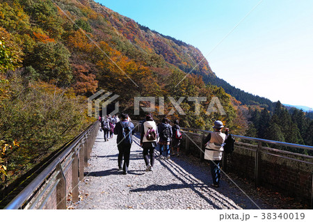 【重要文化財】碓氷第三橋梁（めがね橋）の紅葉とアプトの道 38340019