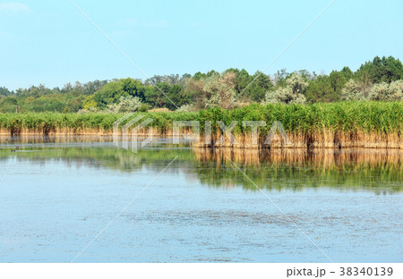 Summer iodine lake (Kherson Region, Ukraine). 38340139