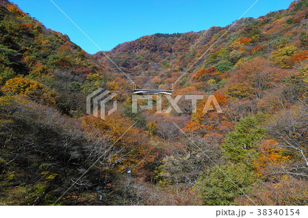 【重要文化財】碓氷第三橋梁（めがね橋）から見る新線碓氷川橋梁（廃線） 38340154