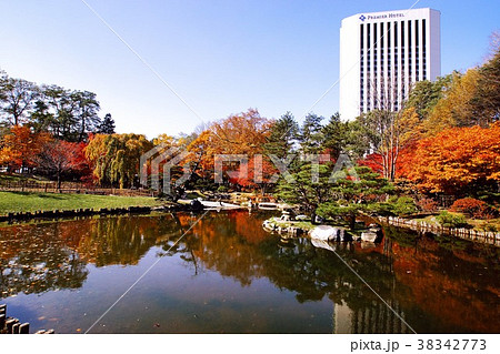 晩秋の中島公園 38342773