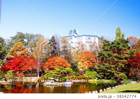 晩秋の中島公園 38342774