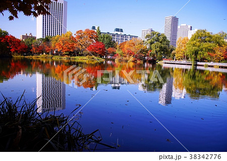 晩秋の中島公園 38342776