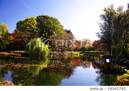 晩秋の中島公園 38342782