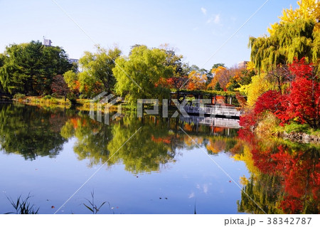 晩秋の中島公園 晩秋の中島公園 38342787