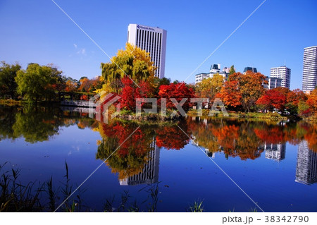 晩秋の中島公園 38342790