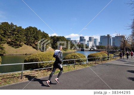 皇居外周道路のマラソンランナー 皇居外周道路のマラソンランナー 38344295