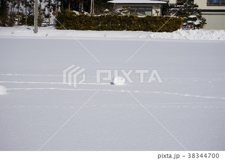 雪まくり 38344700
