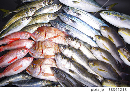 魚　盛り合わせ 38345218