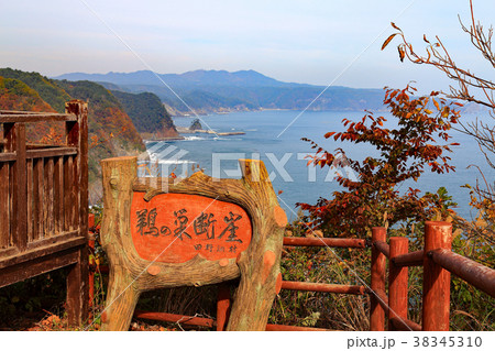 三陸 鵜の巣断崖 三陸 鵜の巣断崖 38345310